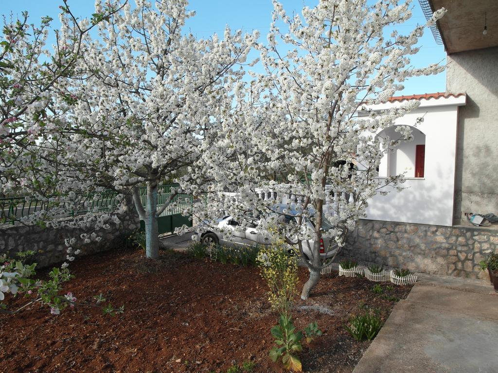 Apartment Antonio Šibenik Exteriér fotografie