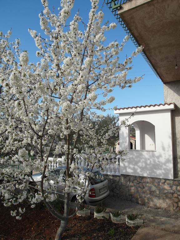 Apartment Antonio Šibenik Exteriér fotografie